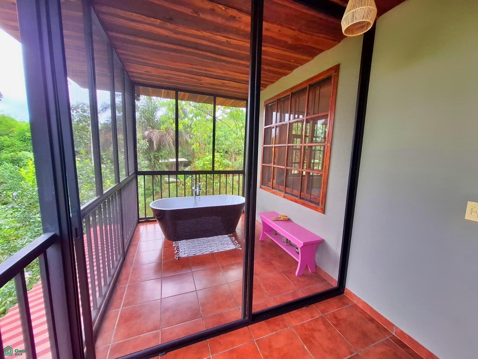 Tropical Bird Watcher’s Paradise