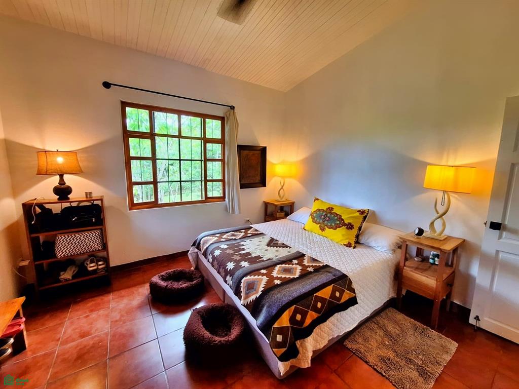 Tropical Bird Watcher’s Paradise