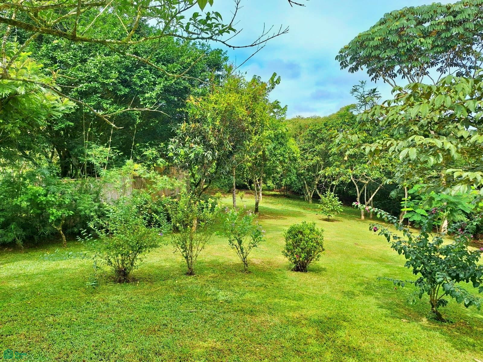 Tropical Bird Watcher’s Paradise