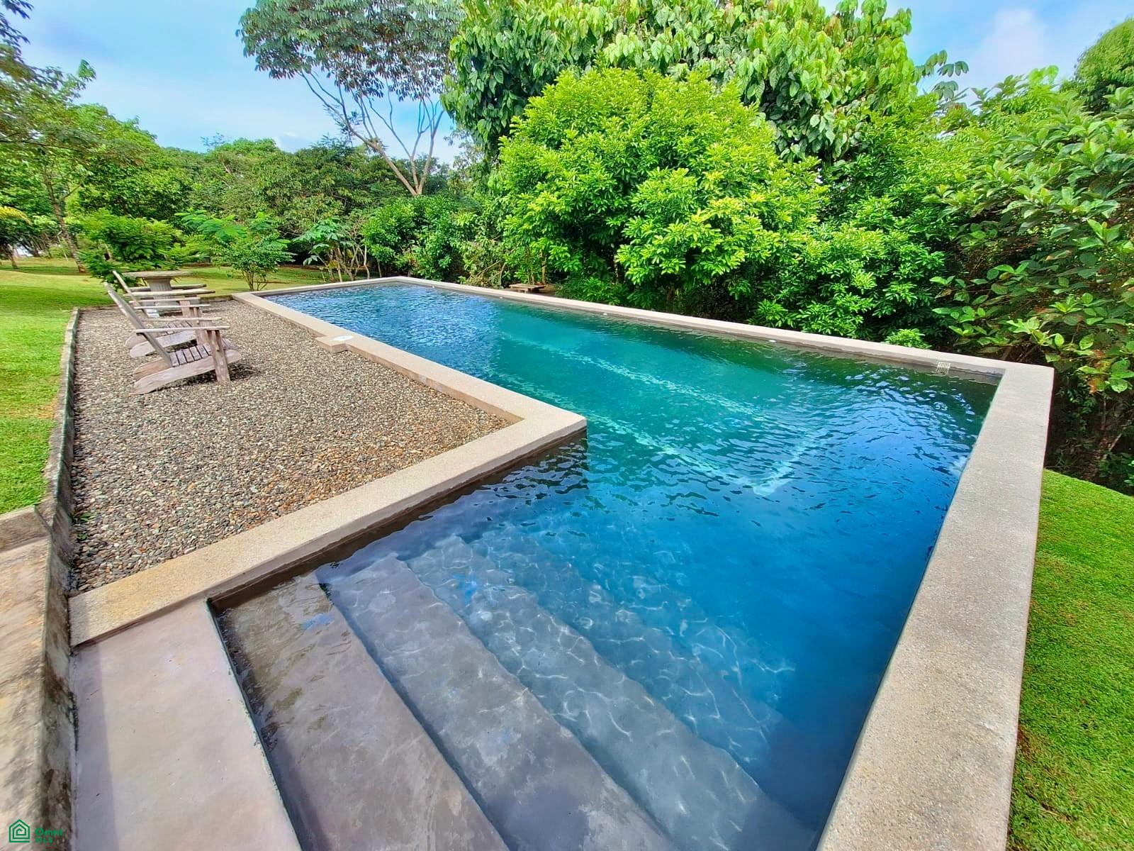 Tropical Bird Watcher’s Paradise