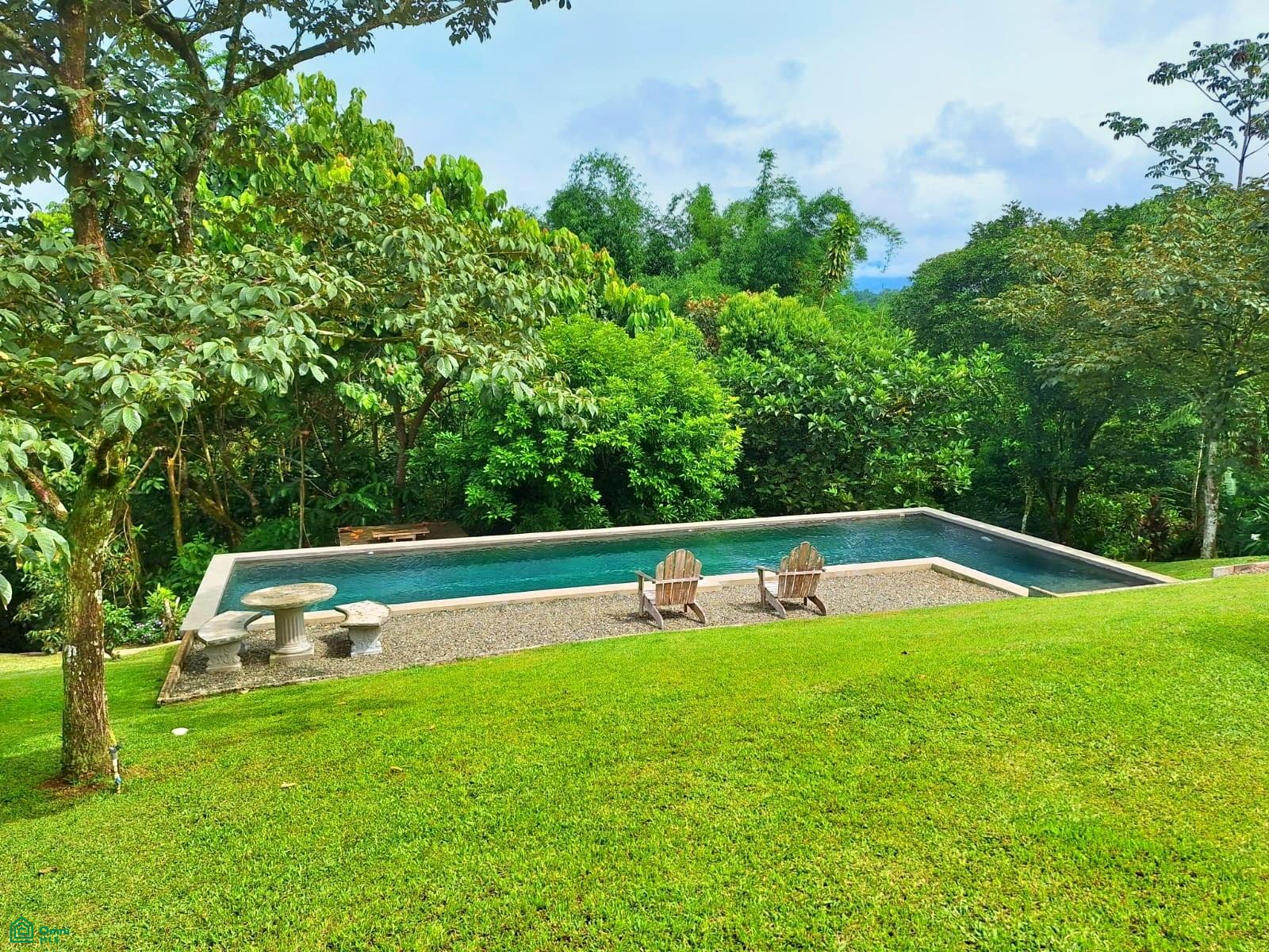 Tropical Bird Watcher’s Paradise