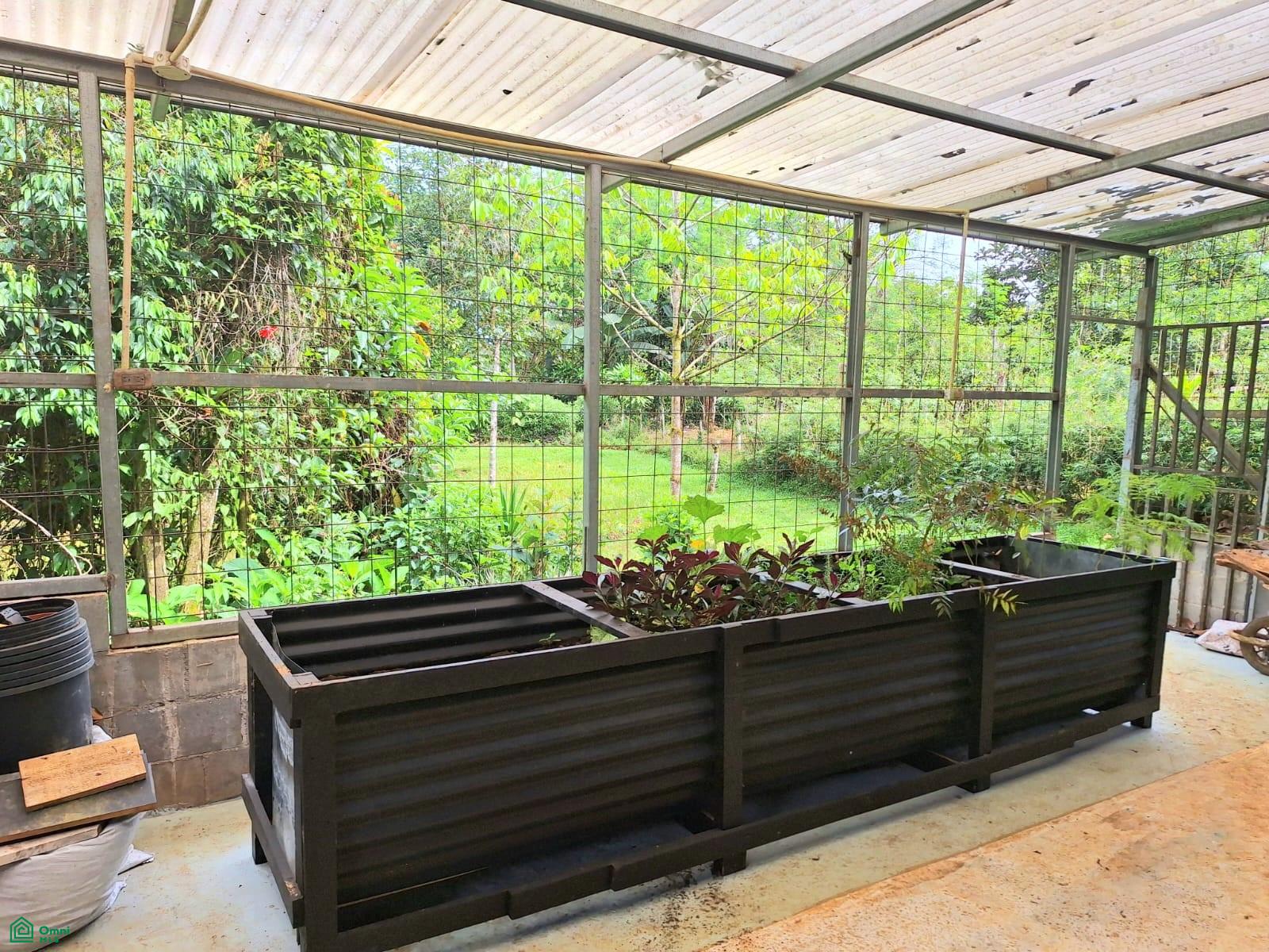 Tropical Bird Watcher’s Paradise