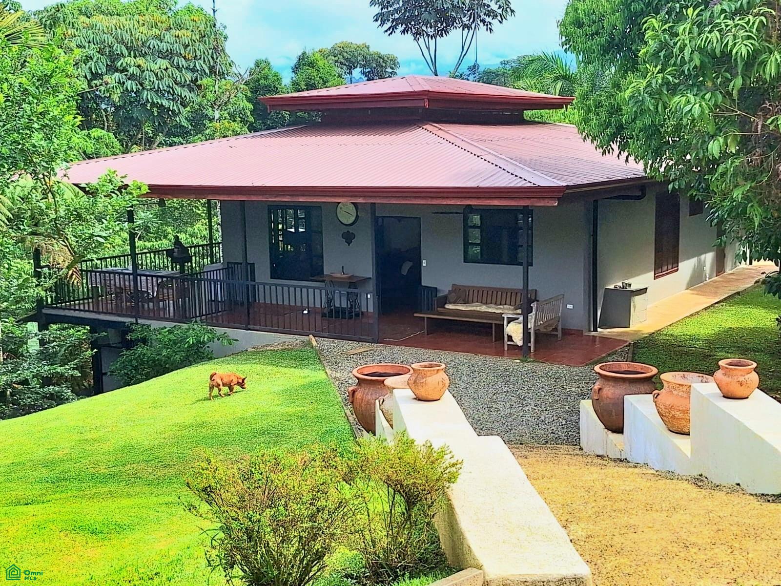 Tropical Bird Watcher’s Paradise