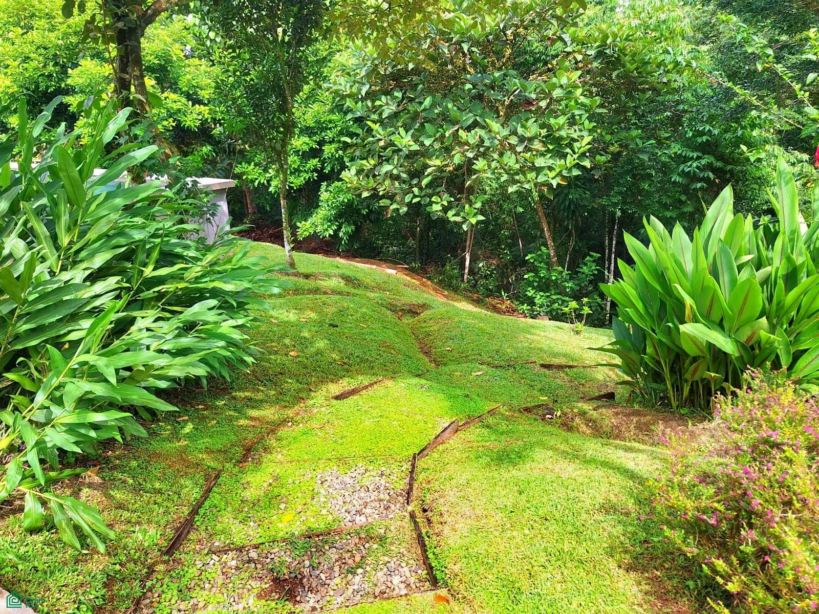 Tropical Bird Watcher’s Paradise