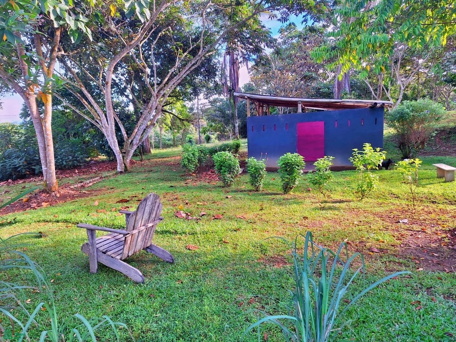 Tropical Bird Watcher’s Paradise