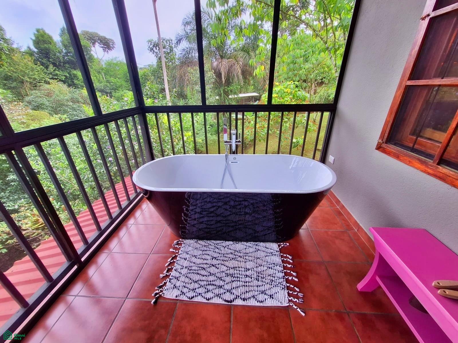 Tropical Bird Watcher’s Paradise