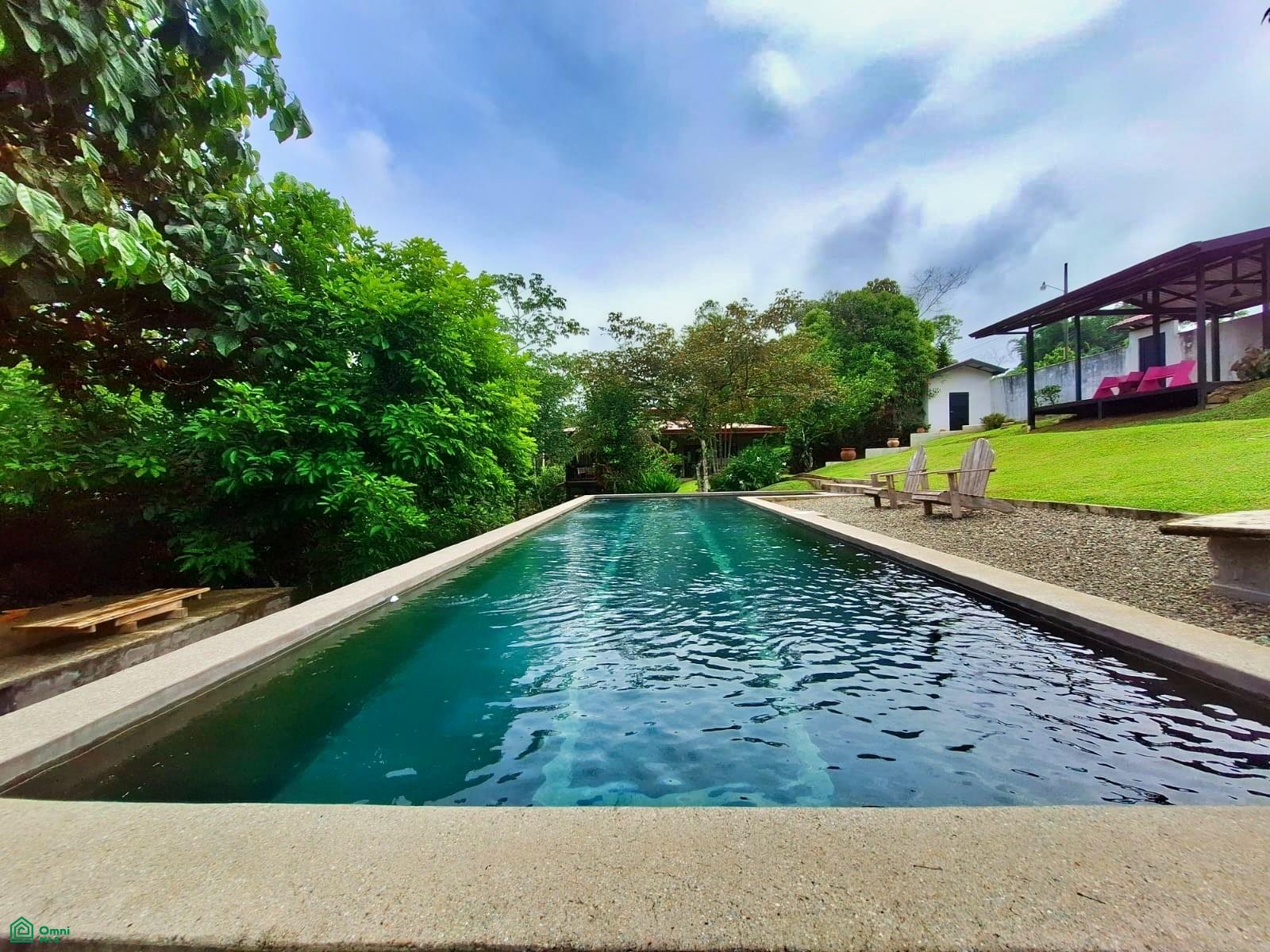 Tropical Bird Watcher’s Paradise