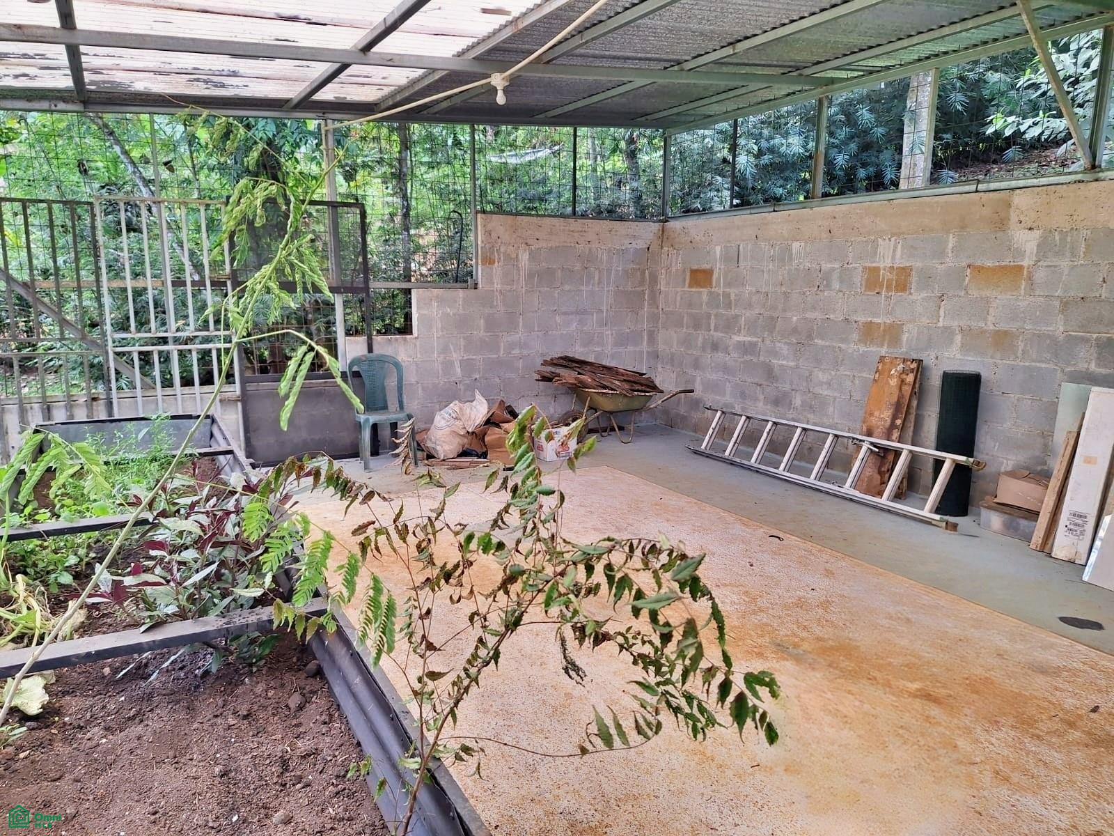 Tropical Bird Watcher’s Paradise