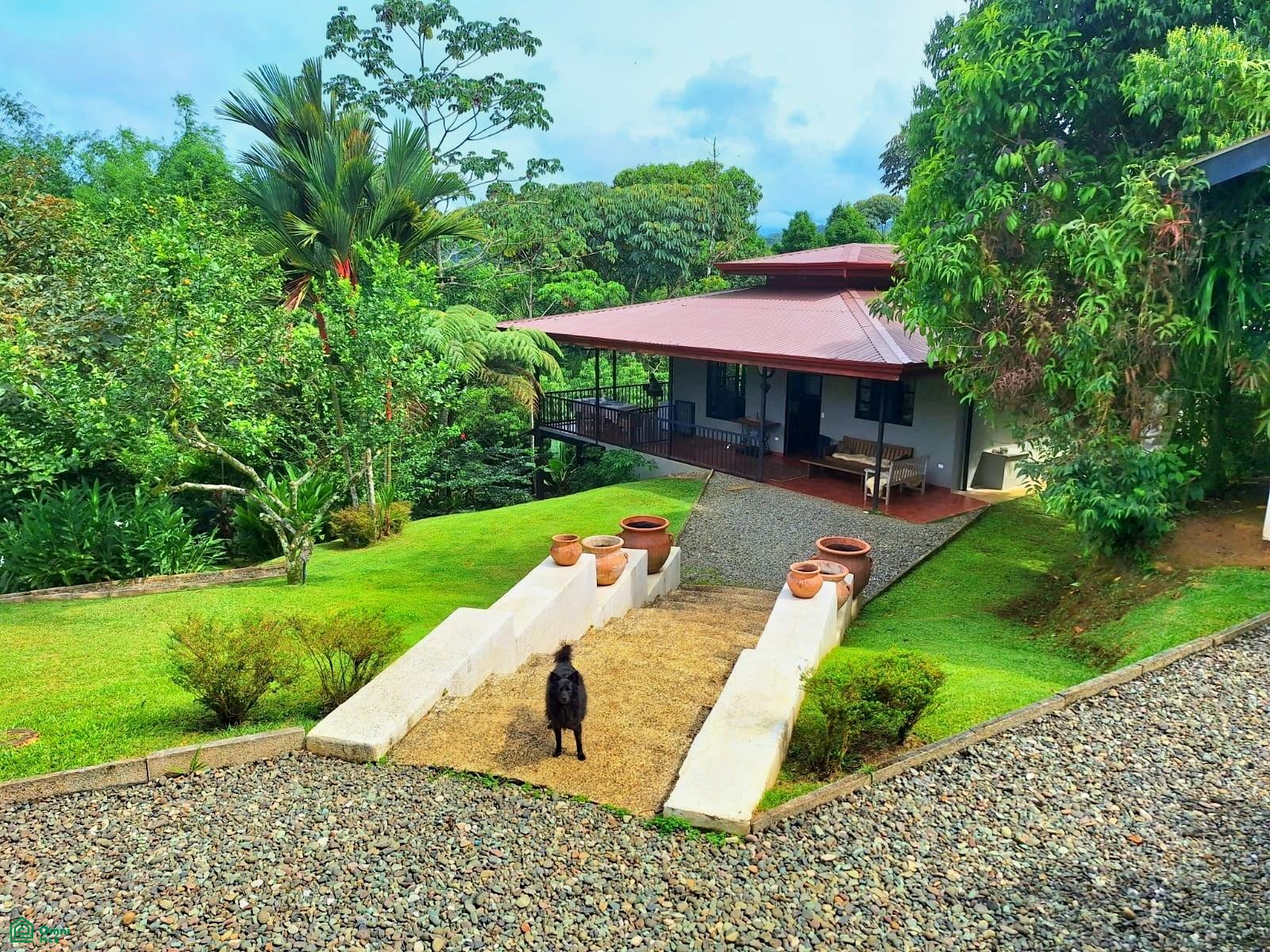Tropical Bird Watcher’s Paradise