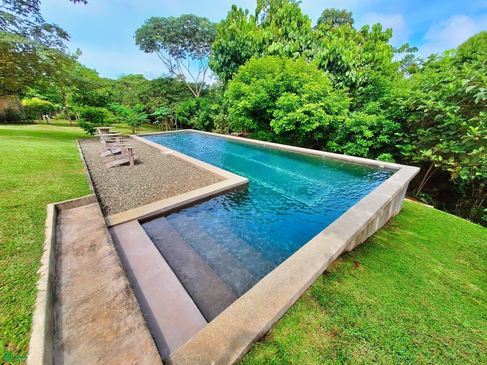 Tropical Bird Watcher’s Paradise