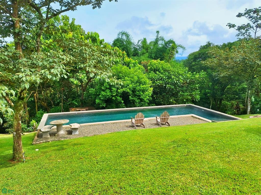Tropical Bird Watcher’s Paradise