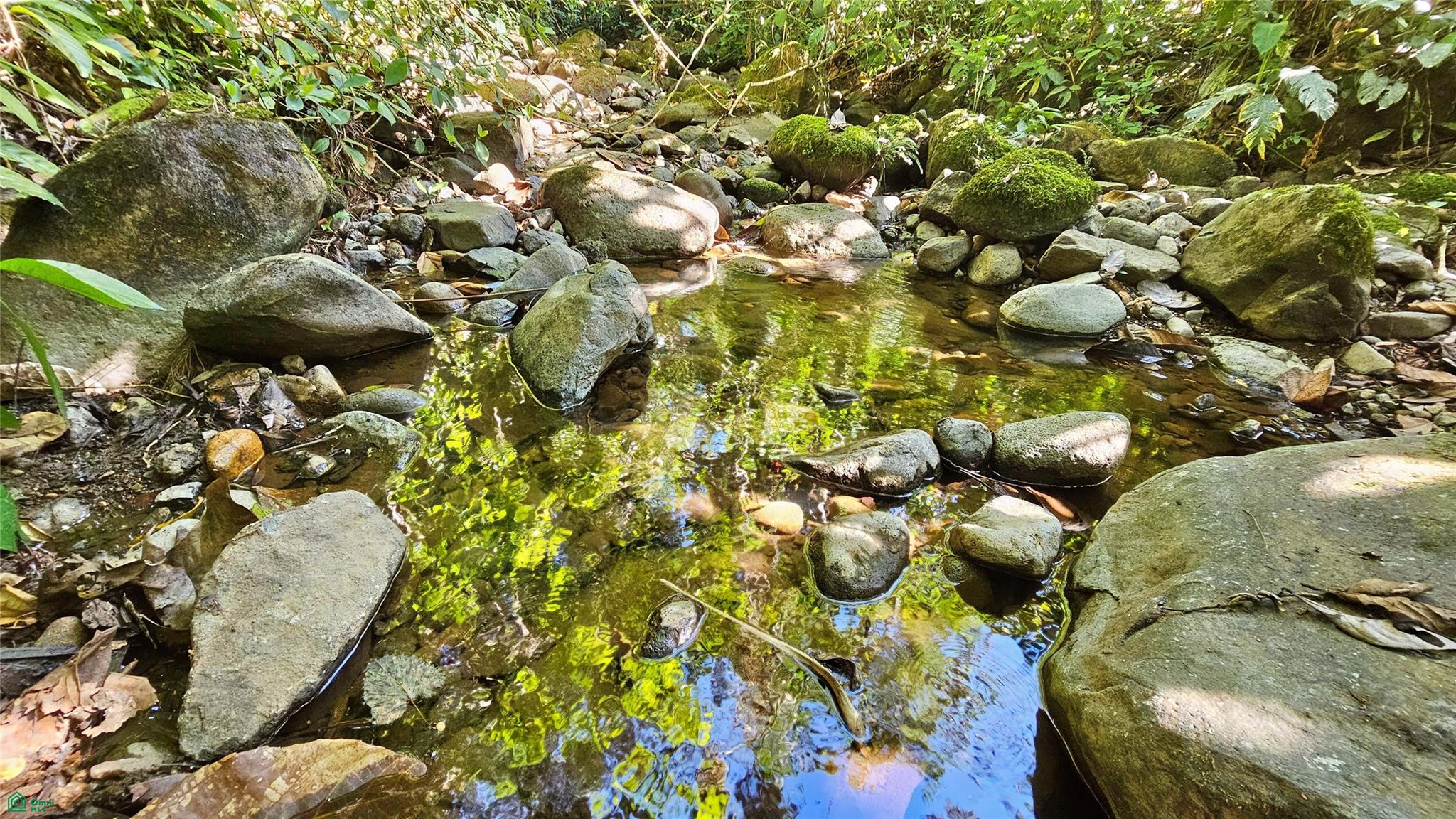 Playa Verde Permaculture Lot 14129m²