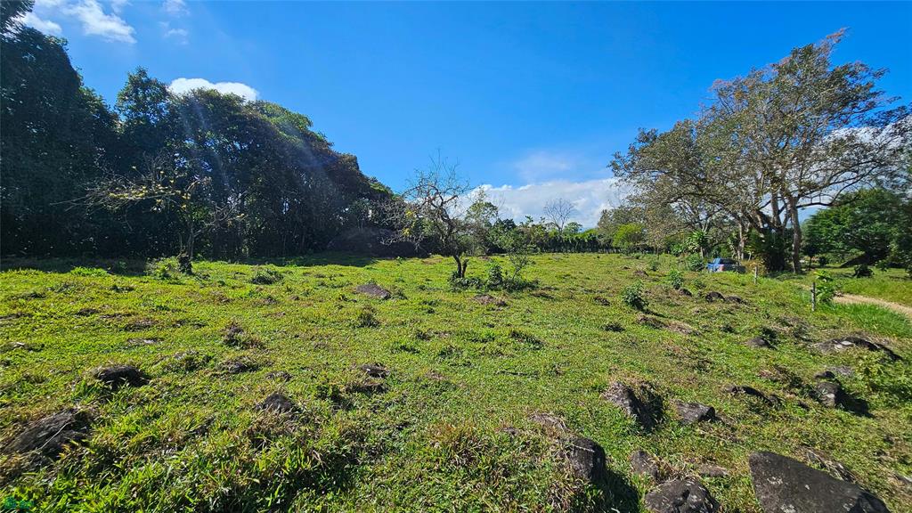 Playa Verde Permaculture Lot 14129m²