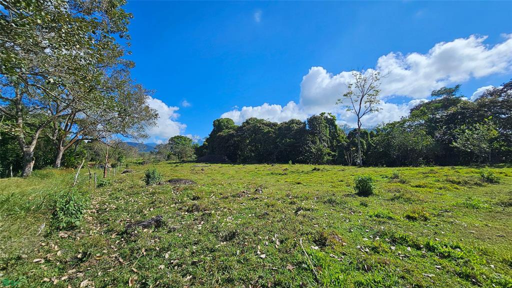 Playa Verde Permaculture Lot 14129m²