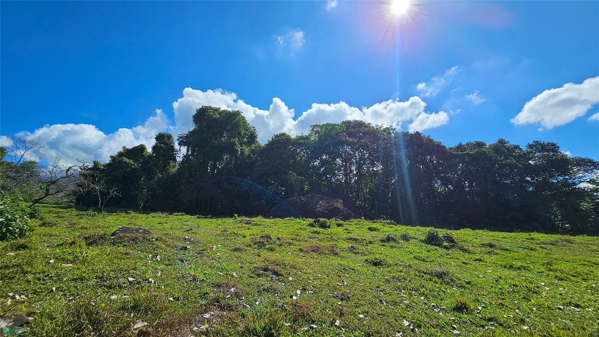 Playa Verde Permaculture Lot 14129m²