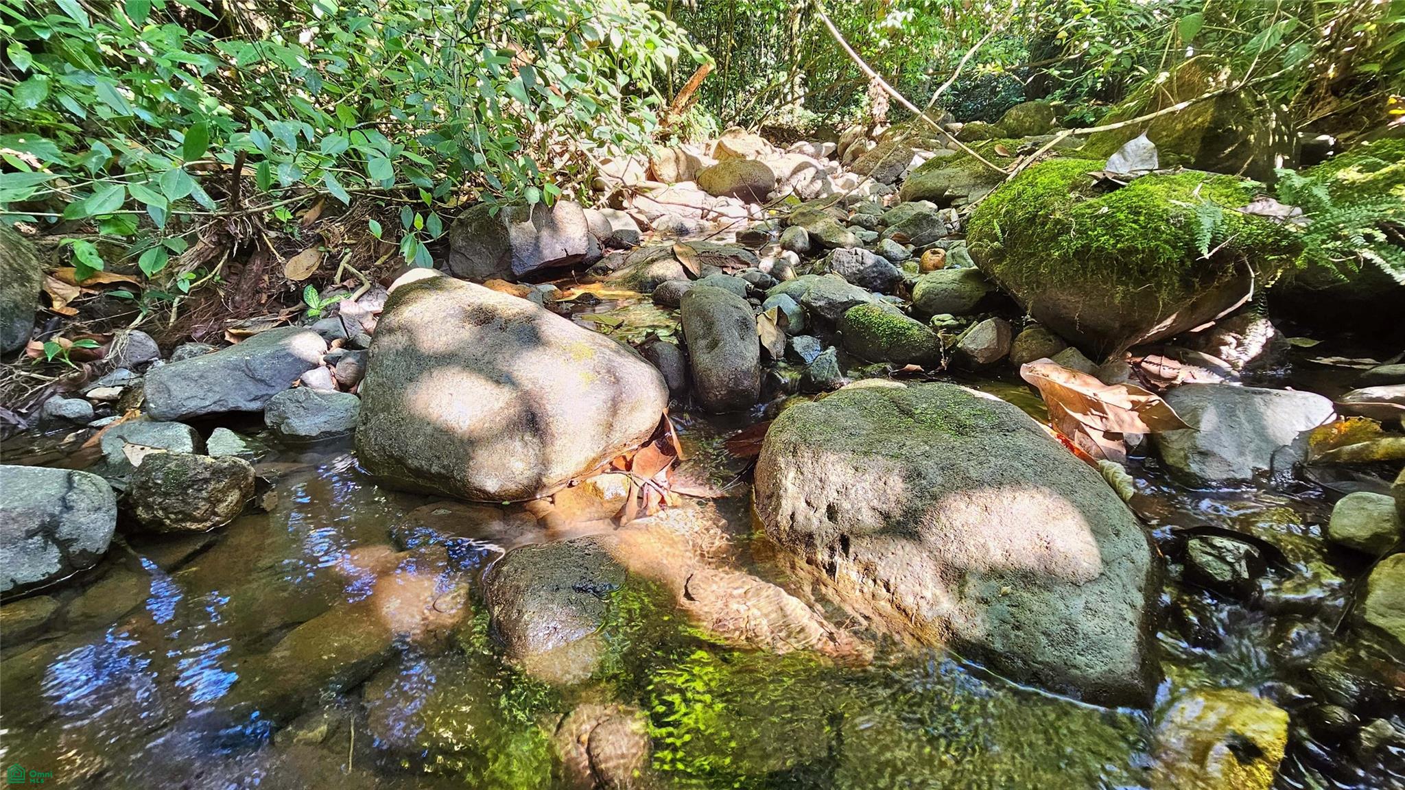 Playa Verde Permaculture Lot 14129m²