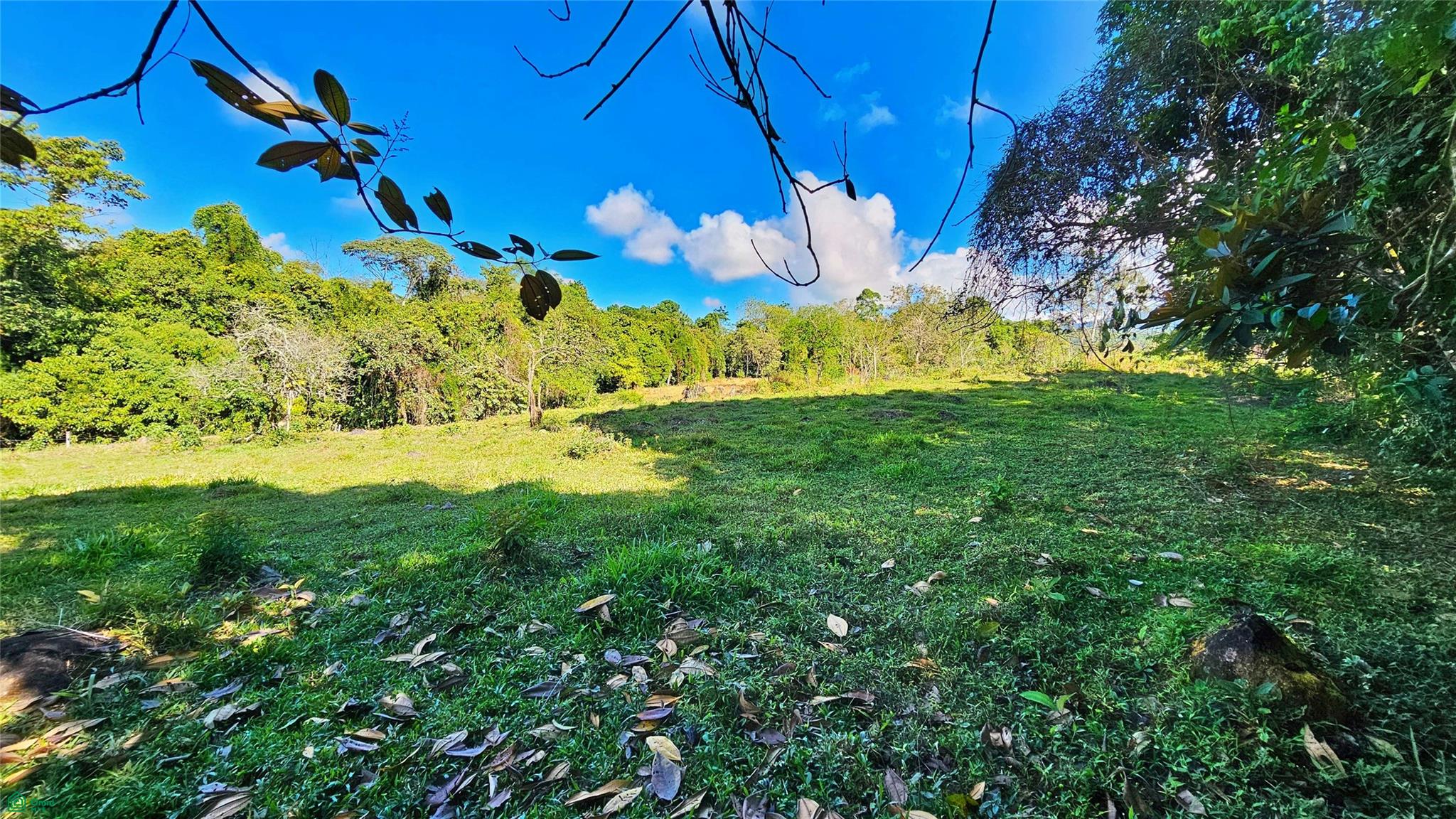 Playa Verde Permaculture Lot 14129m²