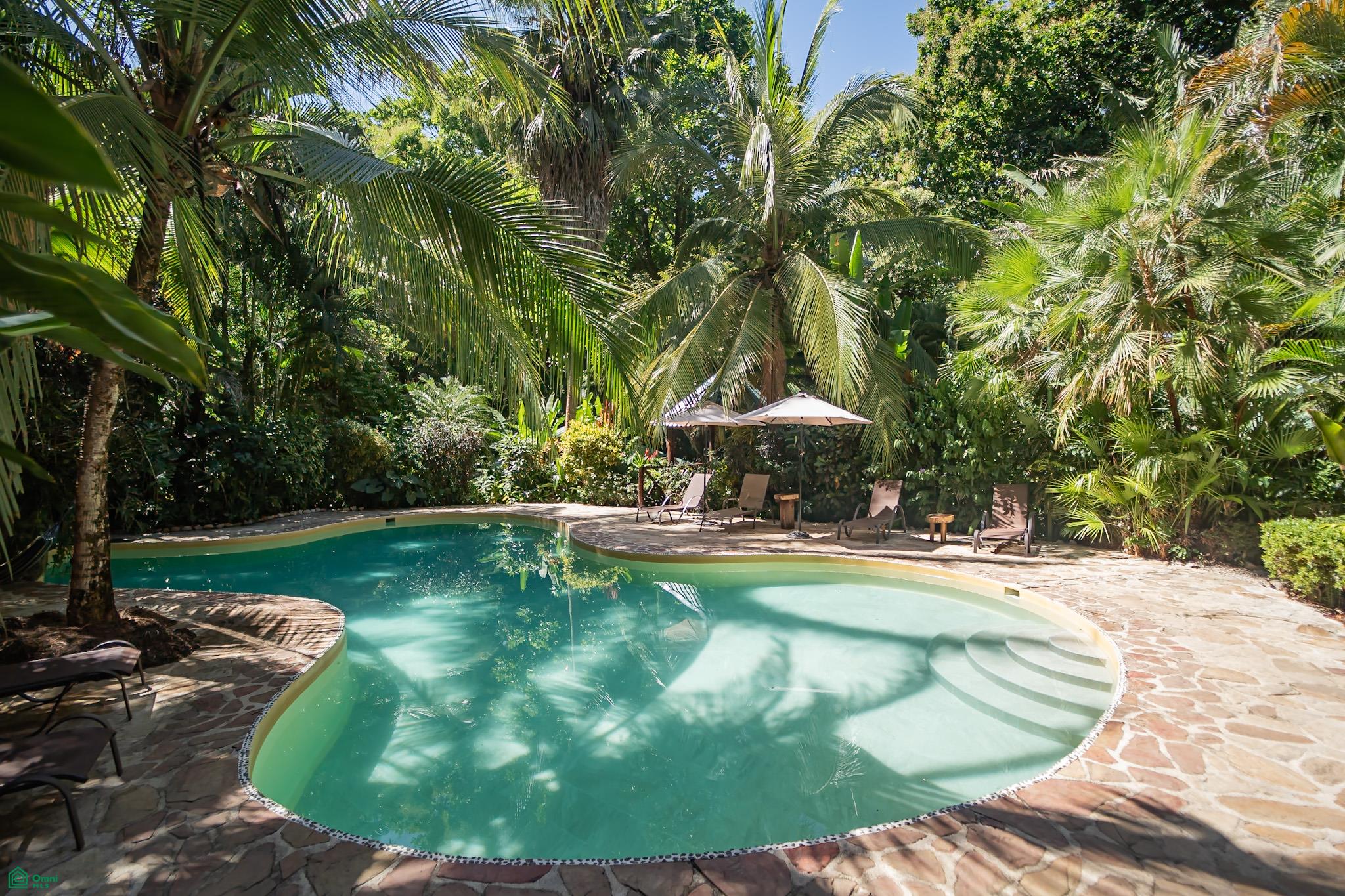 Gecko Verde Hotel