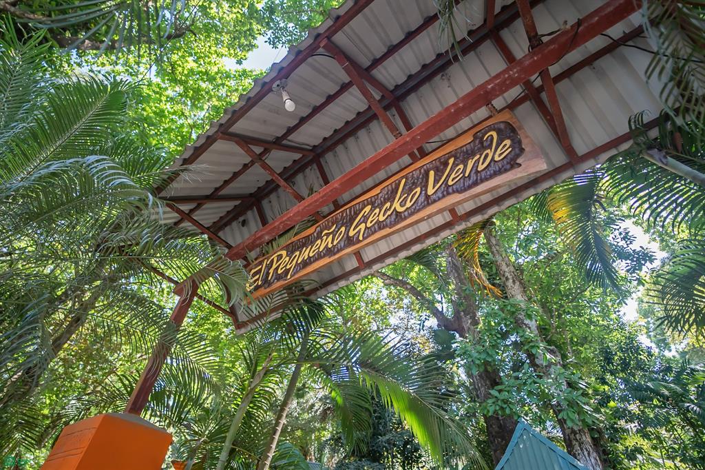 Gecko Verde Hotel