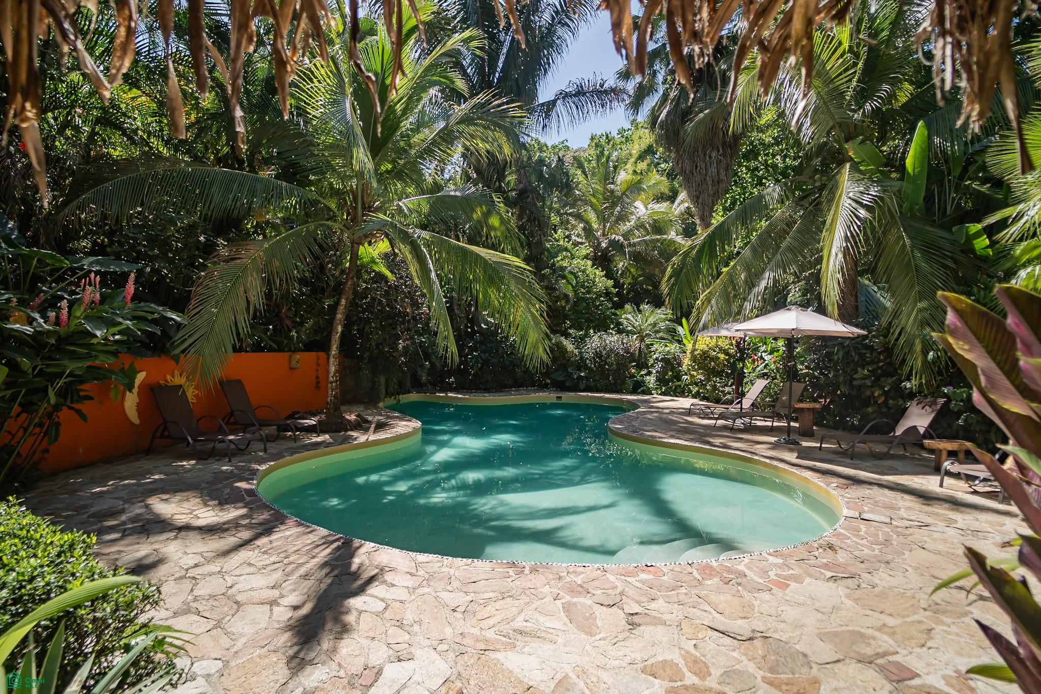 Gecko Verde Hotel