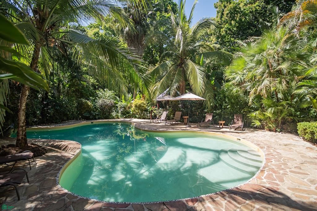 Gecko Verde Hotel