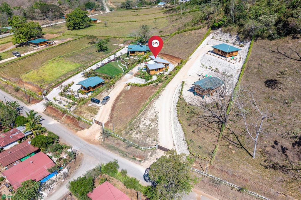 Pura Vida Home