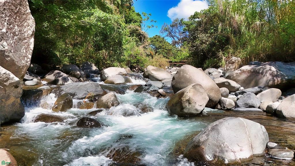 Finca Tropical Food Forest