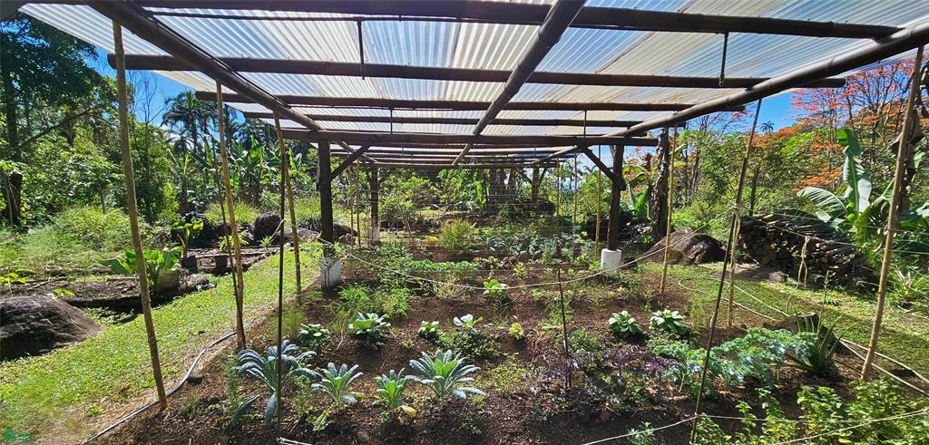 Finca Tropical Food Forest