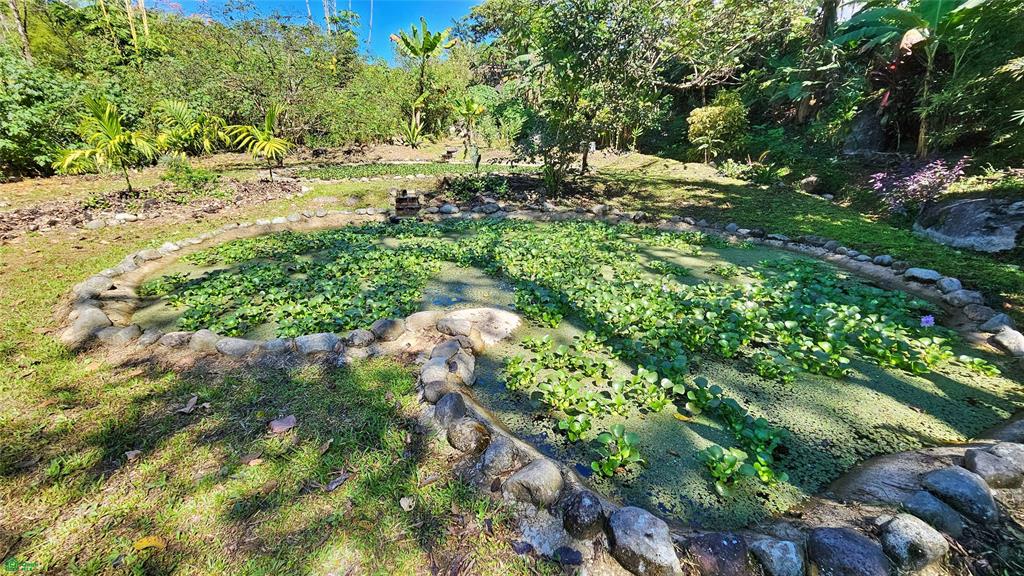 Finca Tropical Food Forest