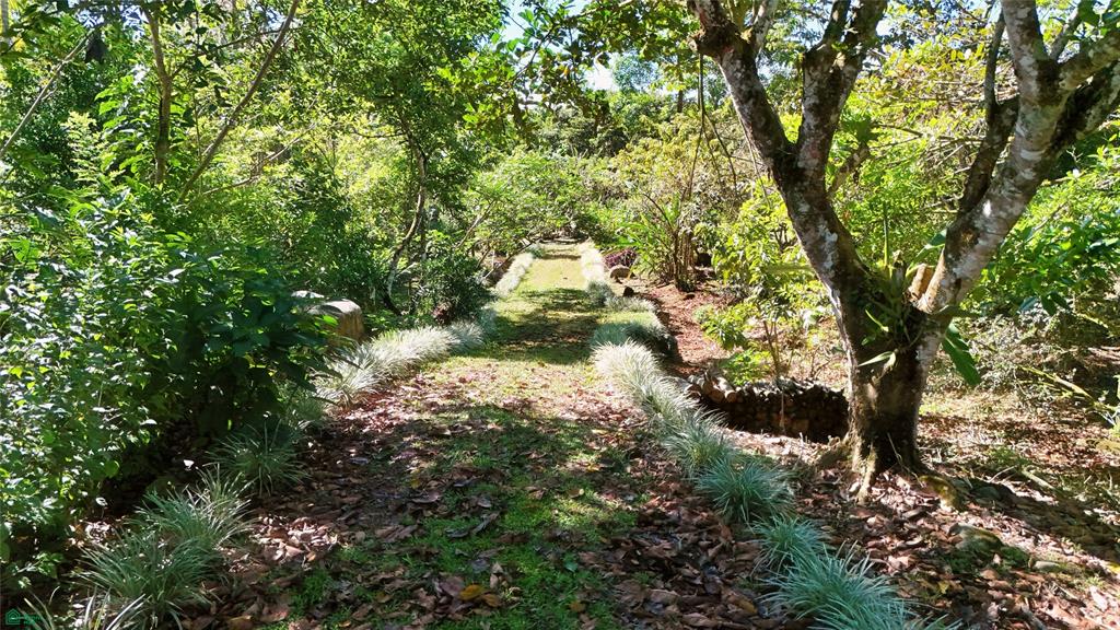 Finca Tropical Food Forest