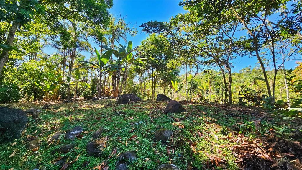 Finca Tropical Food Forest