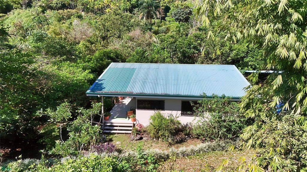 Finca Tropical Food Forest