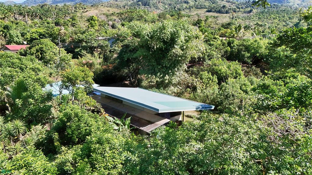 Finca Tropical Food Forest
