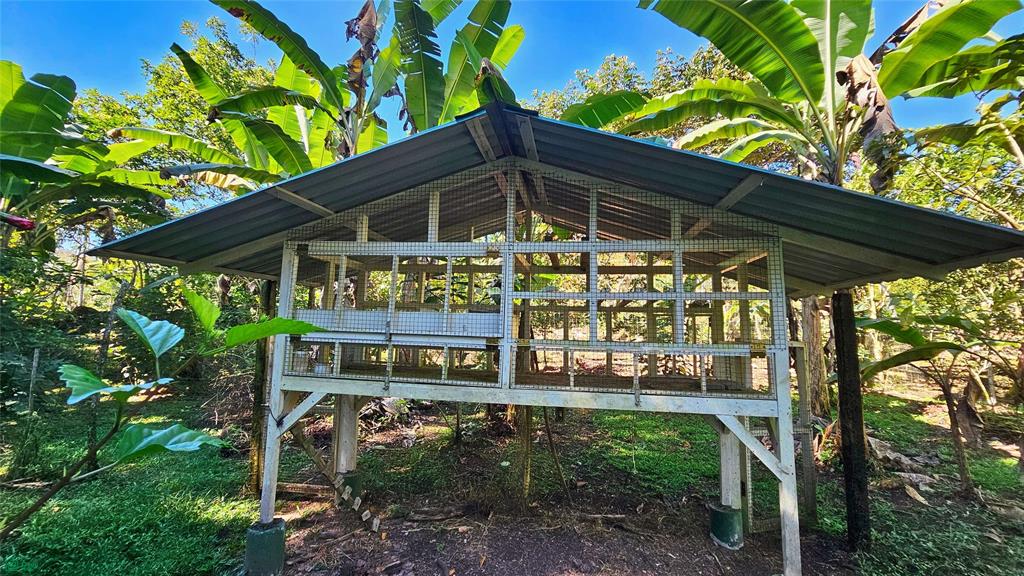 Finca Tropical Food Forest