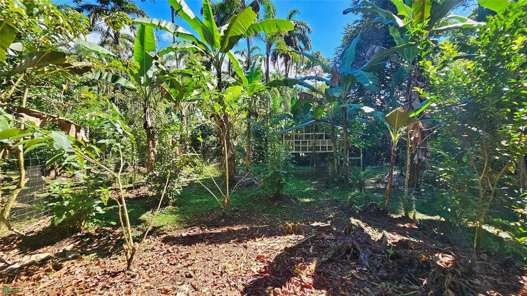 Finca Tropical Food Forest