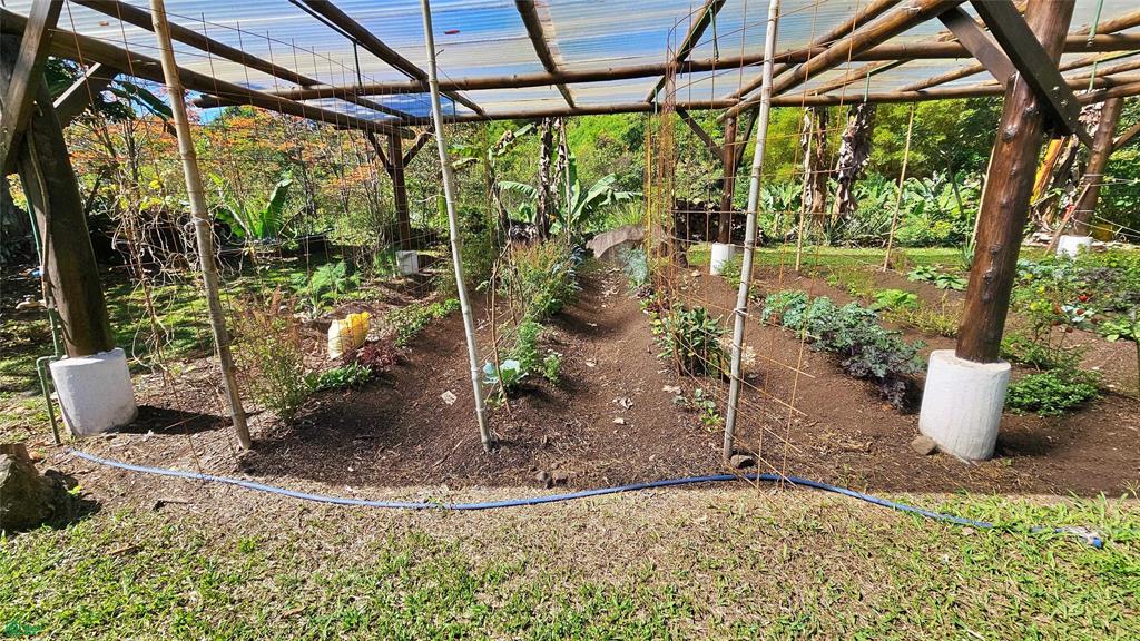 Finca Tropical Food Forest
