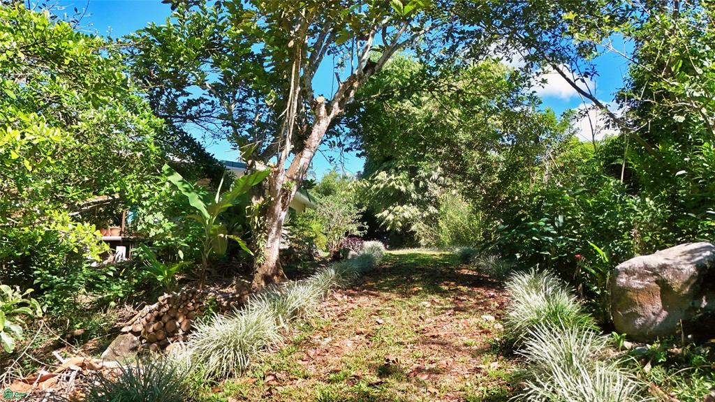 Finca Tropical Food Forest