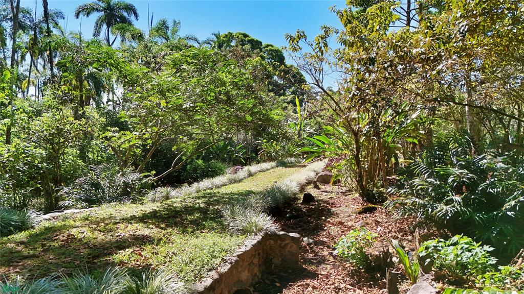 Finca Tropical Food Forest