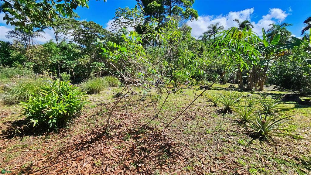 Finca Tropical Food Forest