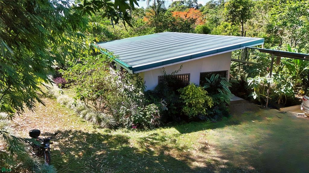Finca Tropical Food Forest