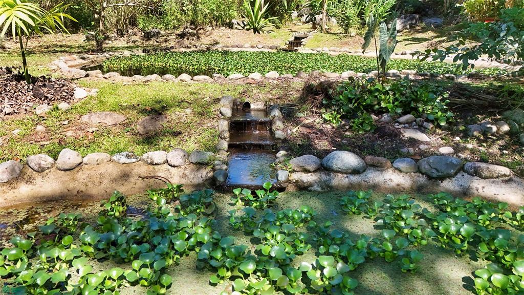 Finca Tropical Food Forest