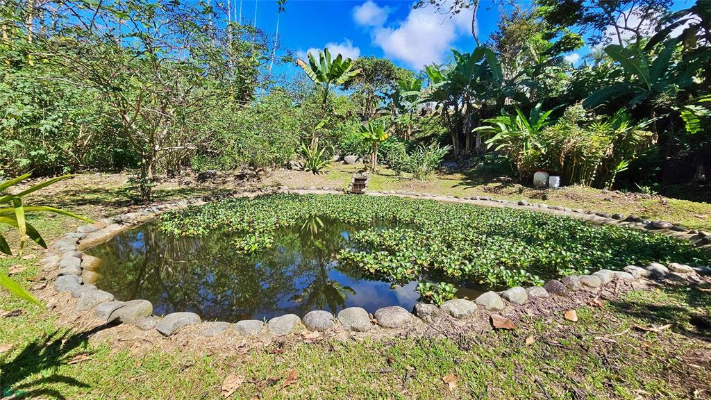 Finca Tropical Food Forest