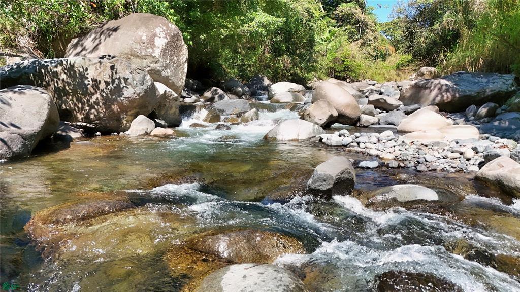 Finca Tropical Food Forest