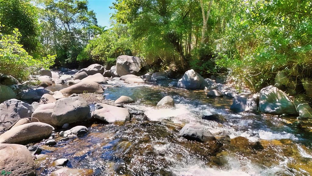 Finca Tropical Food Forest