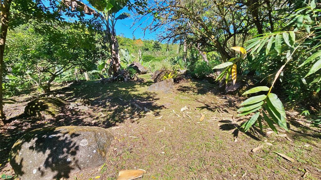 Finca Tropical Food Forest