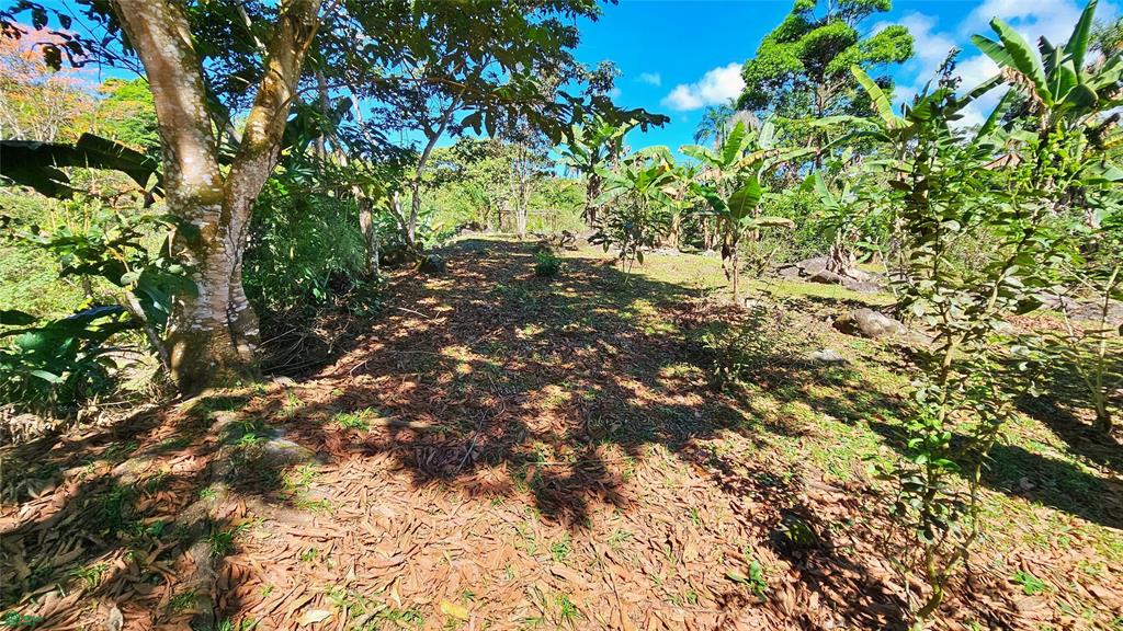 Finca Tropical Food Forest