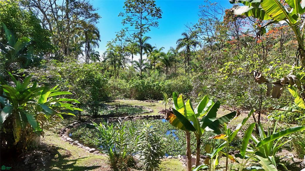 Finca Tropical Food Forest