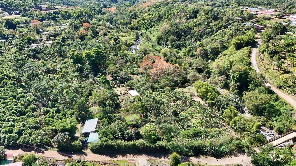 Finca Tropical Food Forest