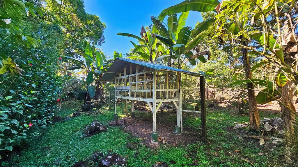 Finca Tropical Food Forest
