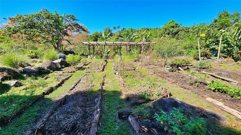 Finca Tropical Food Forest